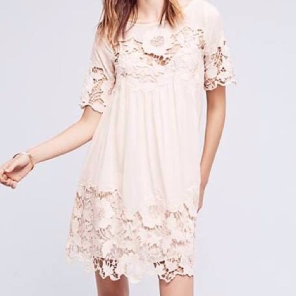 Blush Magnolia Lace Dress by Anthropologie